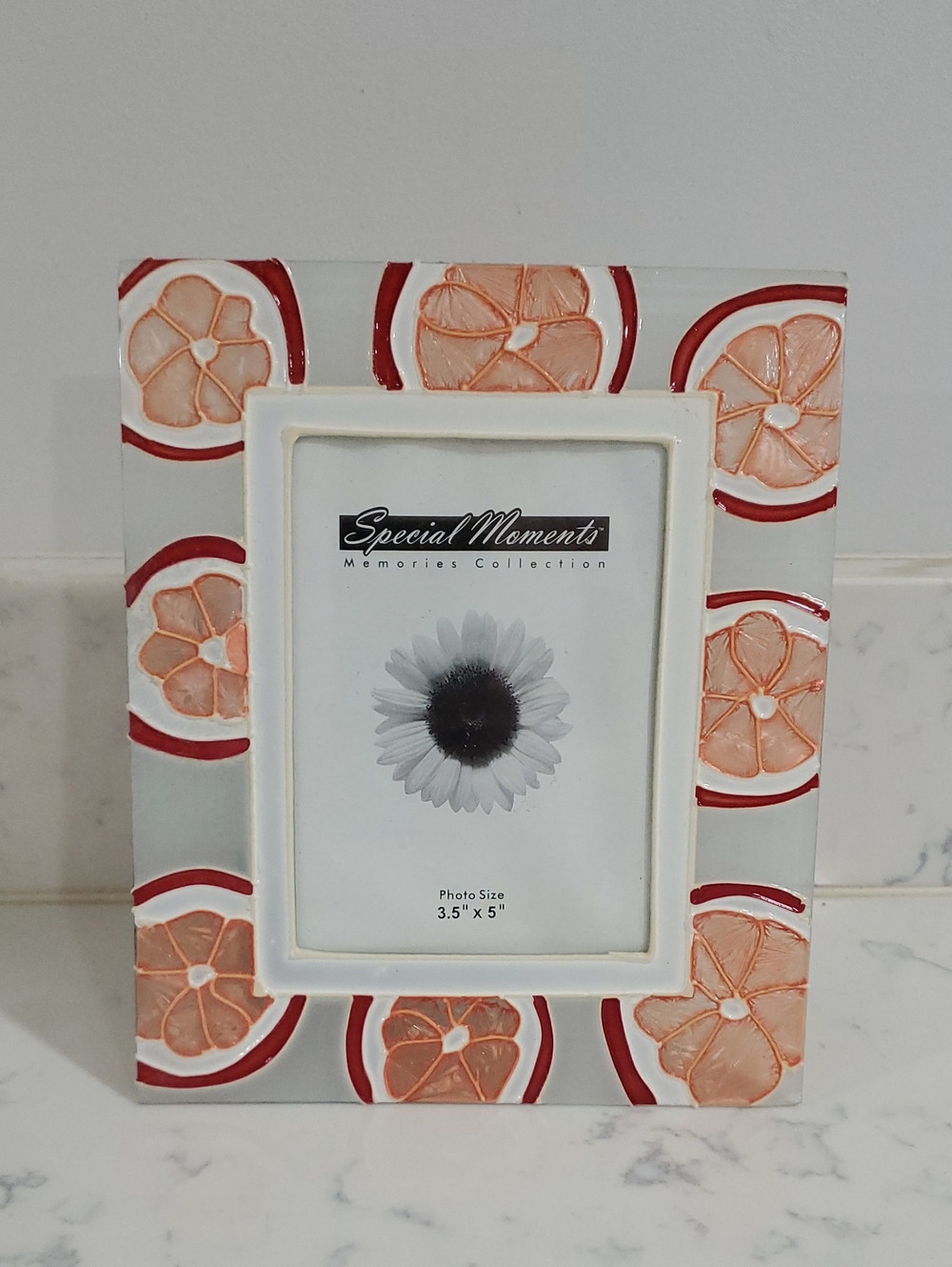Glass Oranges Picture Frame
